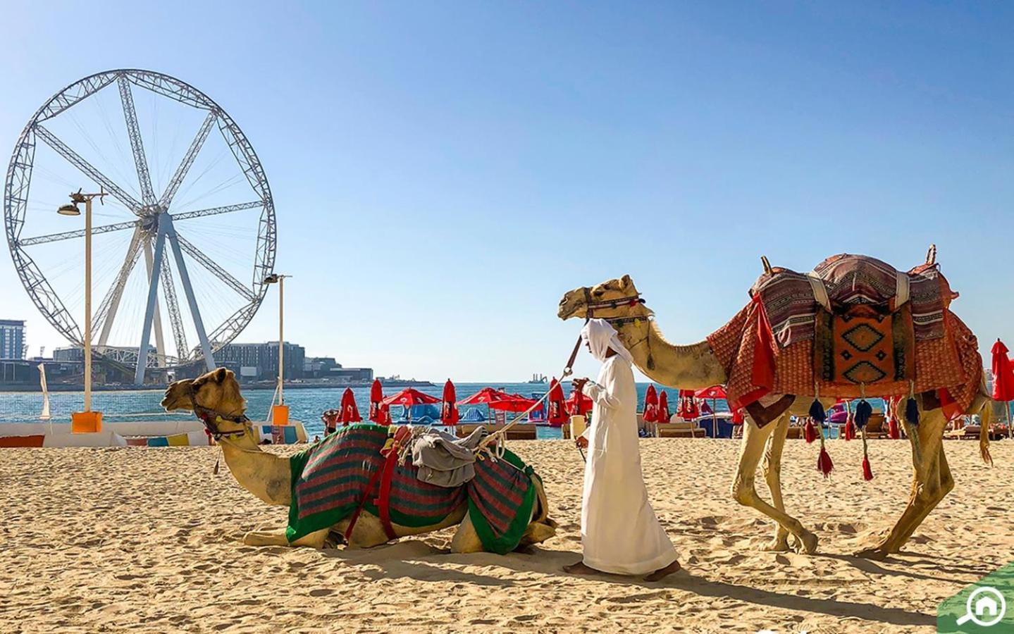Apartment Al Bateen Resdences By Happy Season Jbr Dubai